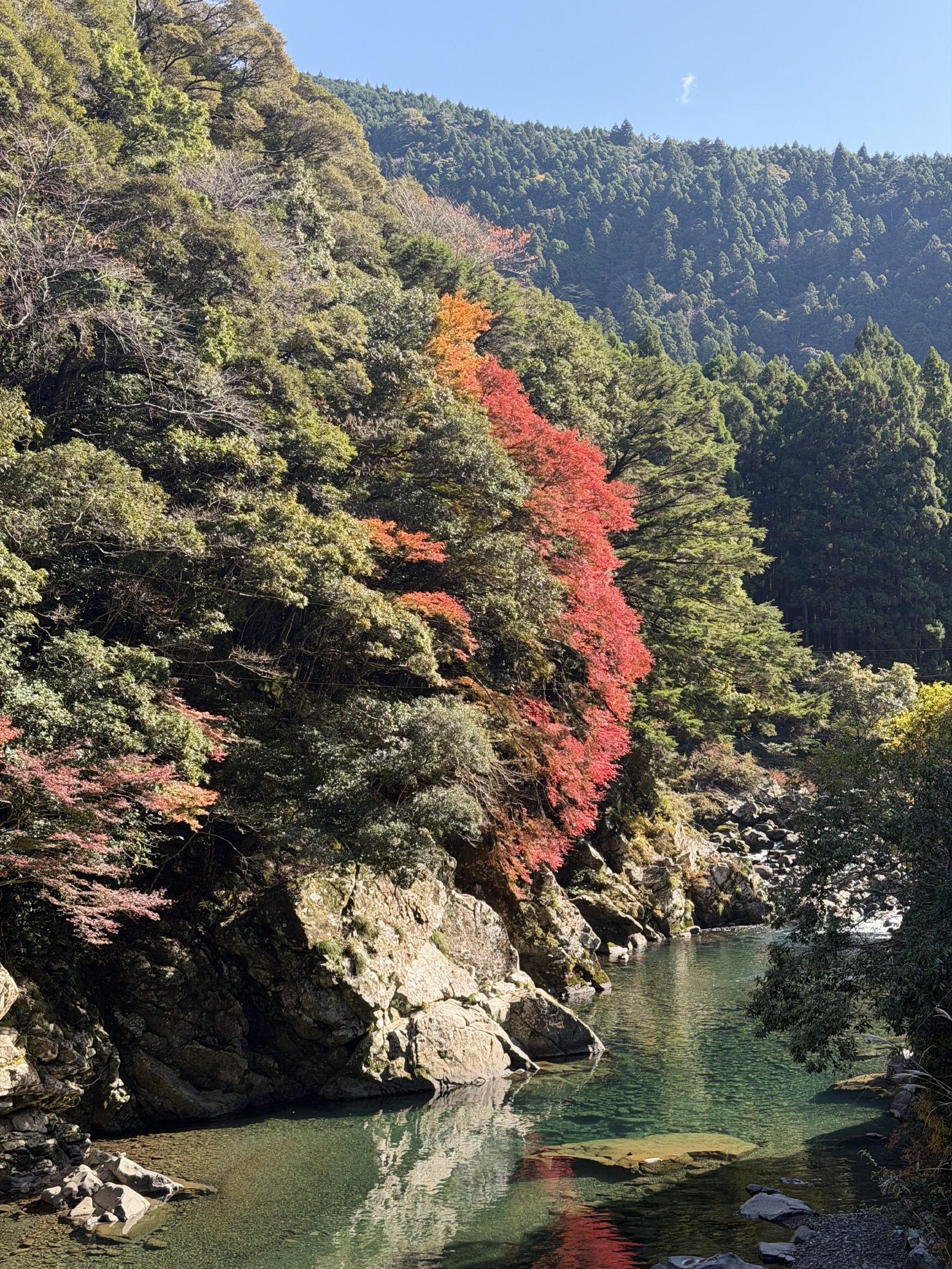 Autumn colour climbing the rocky hillside