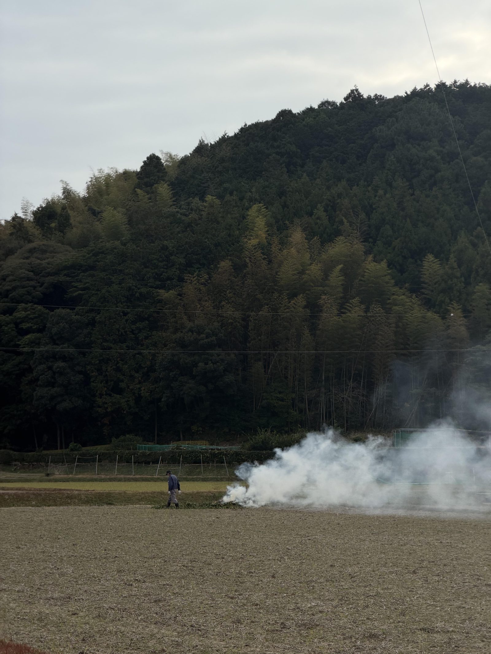 Smoke drifting over the fields