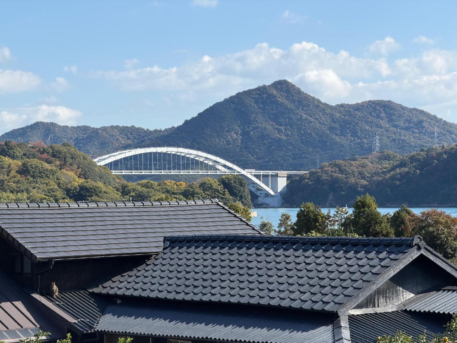White arch bridge over sea behind tiled rooftops