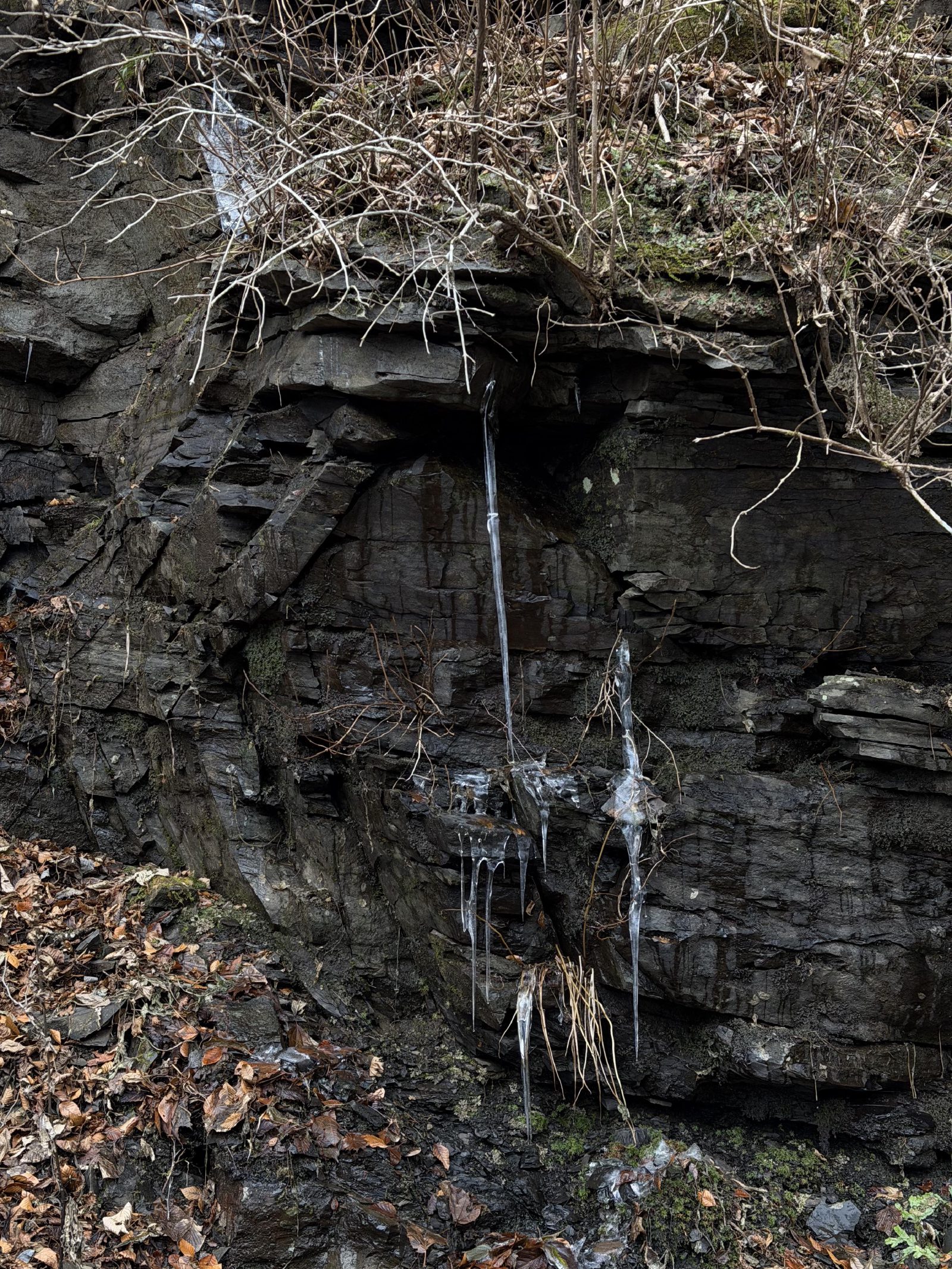 Icicles on the rocks near the road