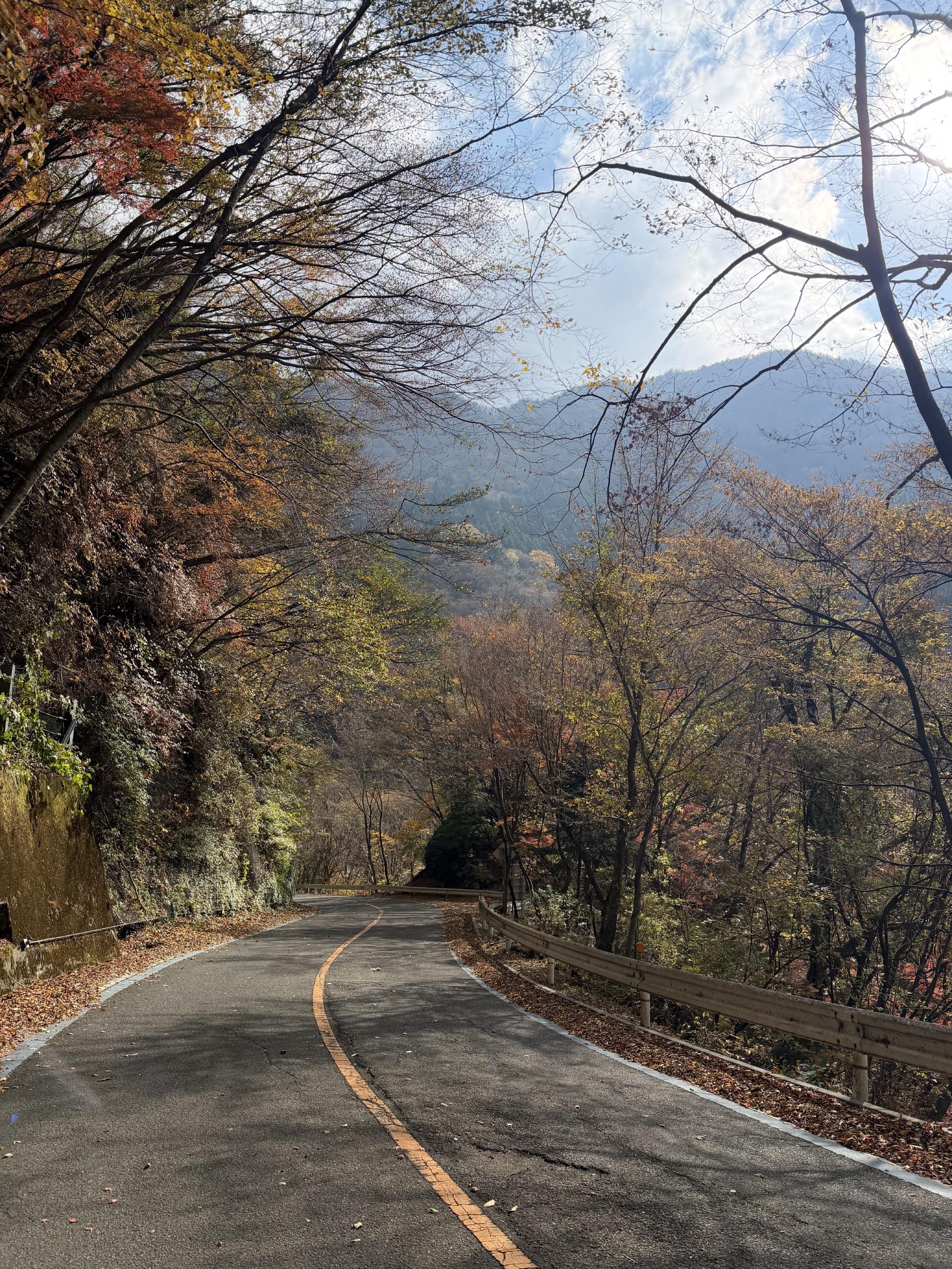 The road down off the ridge