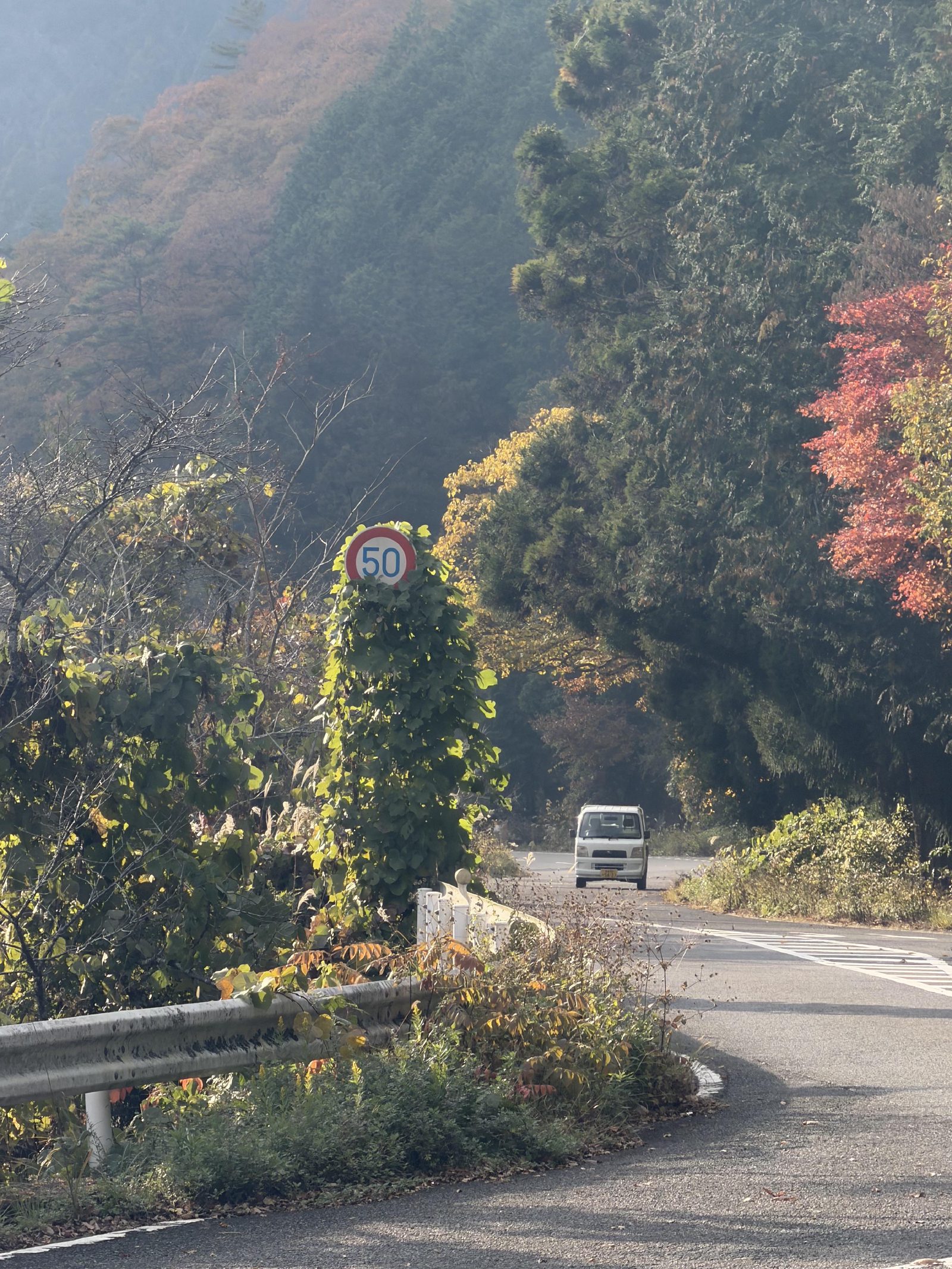 Autumn colours returning as we dropped down