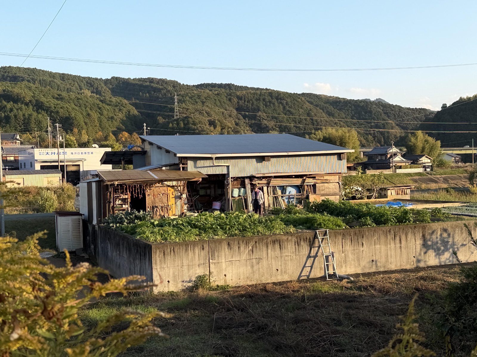 Late light on the way into Ozu