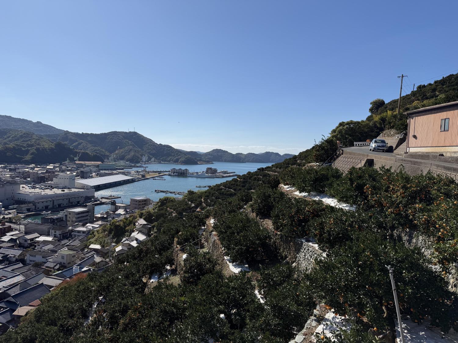 Hillside view over a harbor town and bay
