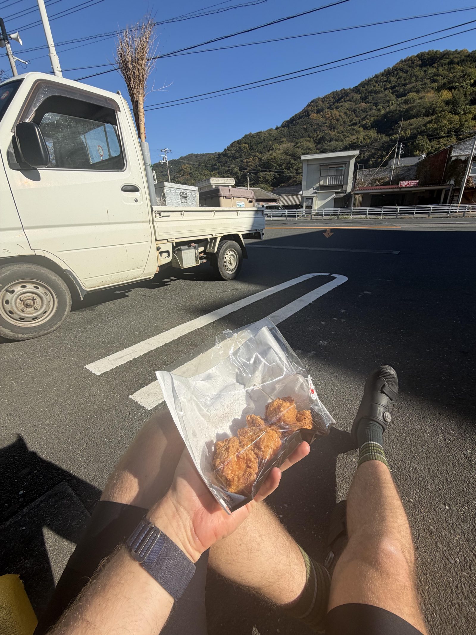 Roadside karaage