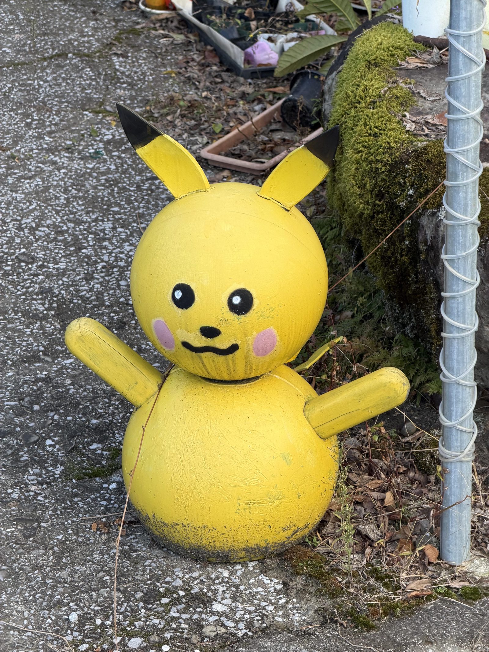 Roadside Pikachu