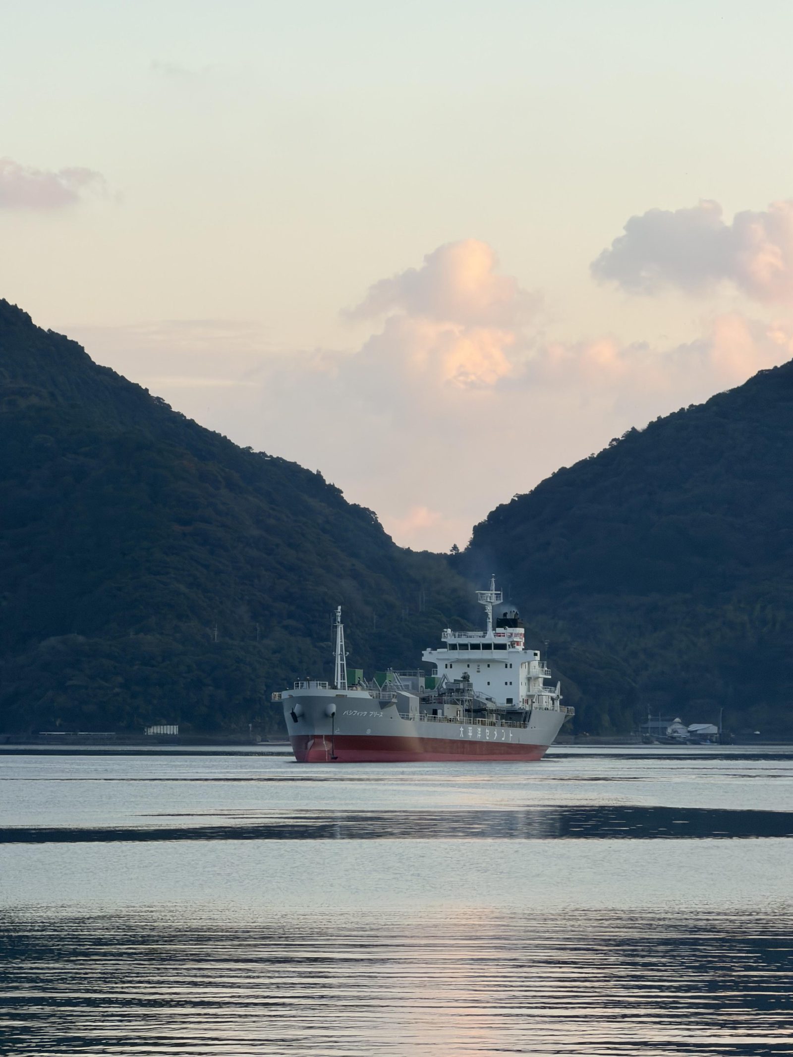 A cargo ship easing past at sunset