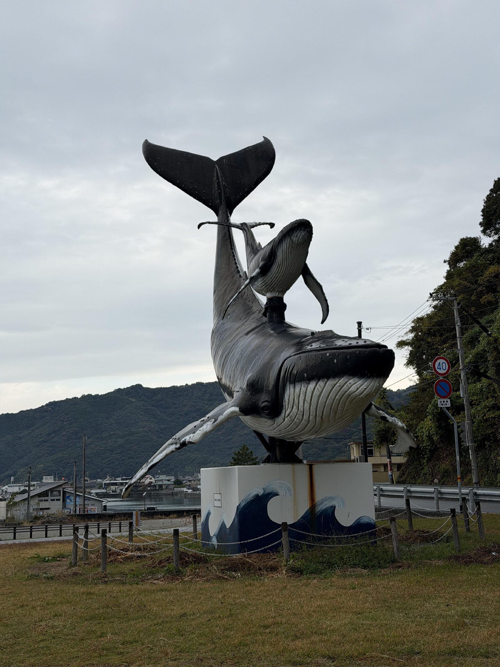 A very large whale