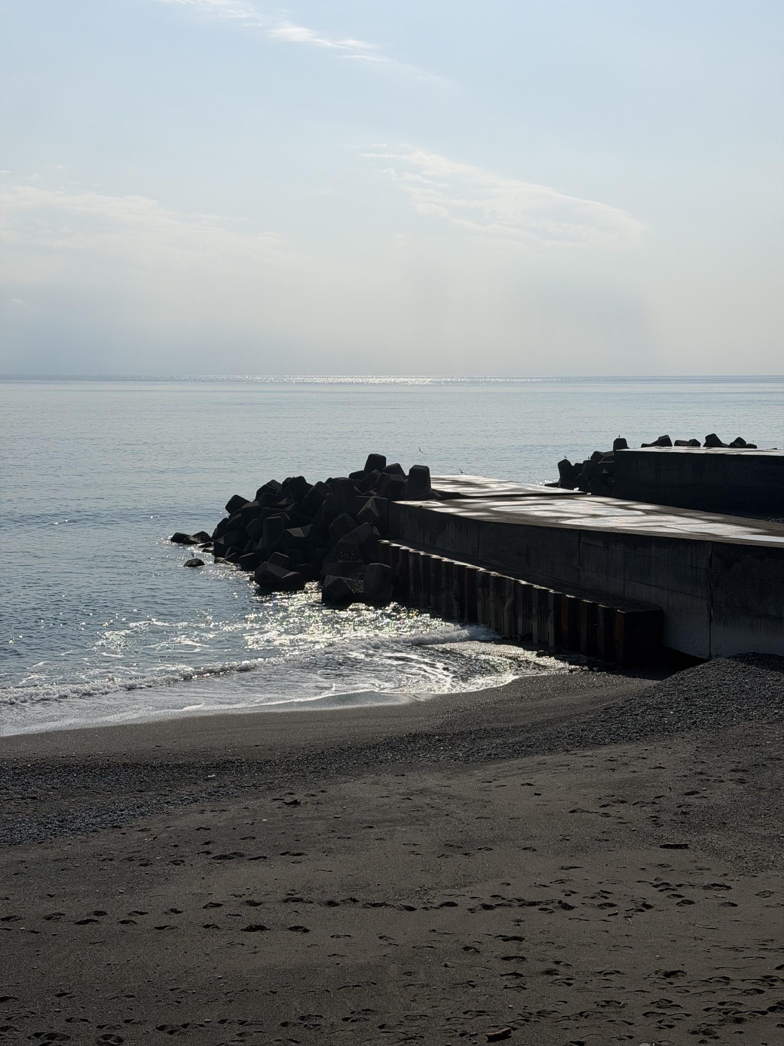 Black sand beach at dusk